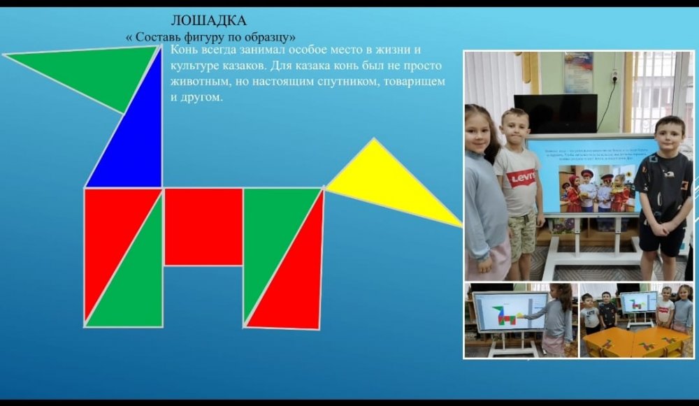 img (8)